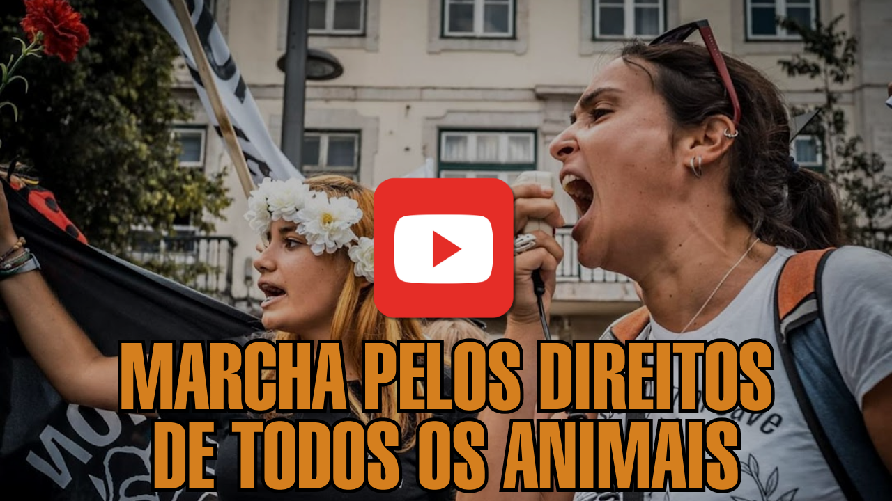 Marcha 2019